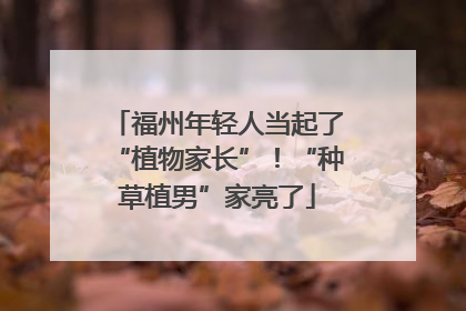 福州年轻人当起了“植物家长”！“种草植男”家亮了