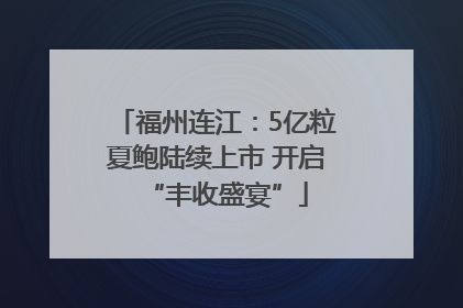 福州连江：5亿粒夏鲍陆续上市 开启“丰收盛宴”