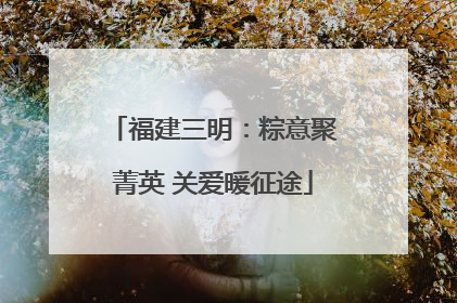 福建三明：粽意聚菁英 关爱暖征途