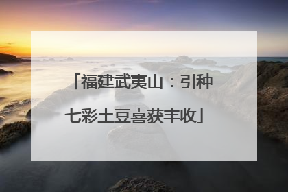福建武夷山：引种七彩土豆喜获丰收