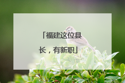 福建这位县长，有新职