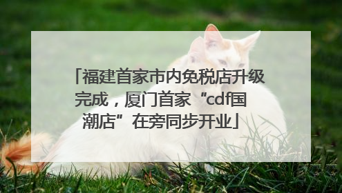 福建首家市内免税店升级完成，厦门首家“cdf国潮店”在旁同步开业