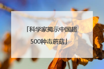 科学家揭示中国超500种毒蘑菇