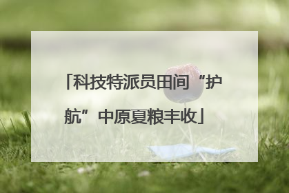 科技特派员田间“护航”中原夏粮丰收