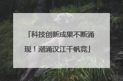 科技创新成果不断涌现！潮涌汉江千帆竞