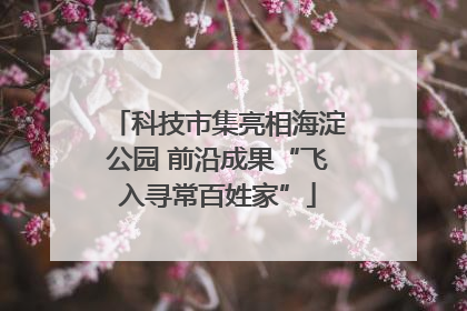 科技市集亮相海淀公园 前沿成果“飞入寻常百姓家”