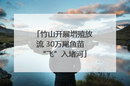 竹山开展增殖放流 30万尾鱼苗“飞”入堵河