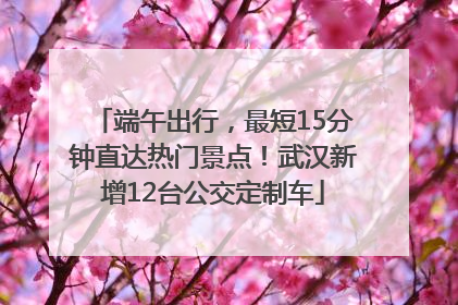 端午出行，最短15分钟直达热门景点！武汉新增12台公交定制车