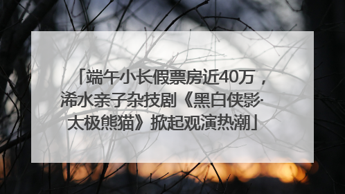 端午小长假票房近40万，浠水亲子杂技剧《黑白侠影·太极熊猫》掀起观演热潮