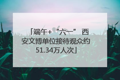 端午+“六一” 西安文博单位接待观众约51.34万人次