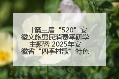 第三届“520”安徽文旅惠民消费季研学主题暨 2025年安徽省“四季村歌”特色展演燃动池州
