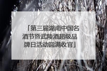 第三届湖南中国名酒节暨武陵酒超级品牌日活动圆满收官