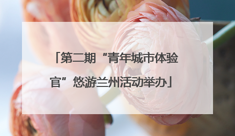 第二期“青年城市体验官”悠游兰州活动举办
