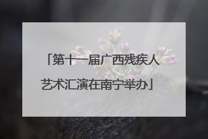 第十一届广西残疾人艺术汇演在南宁举办