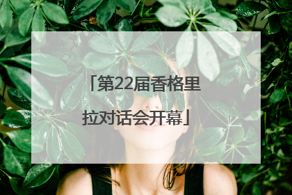 第22届香格里拉对话会开幕