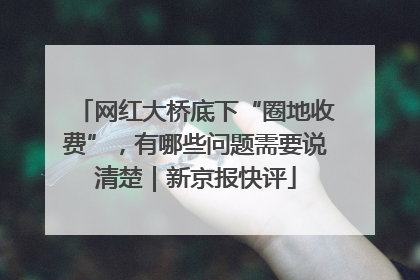 网红大桥底下“圈地收费”，有哪些问题需要说清楚｜新京报快评