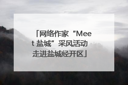网络作家“Meet 盐城”采风活动走进盐城经开区
