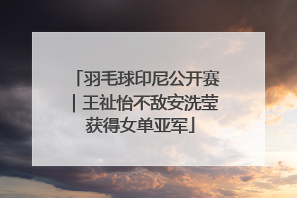 羽毛球印尼公开赛｜王祉怡不敌安洗莹 获得女单亚军