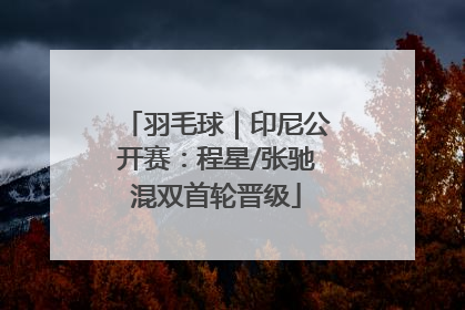 羽毛球｜印尼公开赛：程星/张驰混双首轮晋级