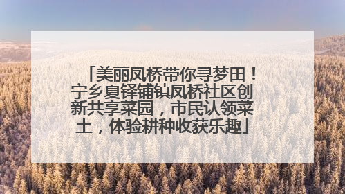 美丽凤桥带你寻梦田！宁乡夏铎铺镇凤桥社区创新共享菜园，市民认领菜土，体验耕种收获乐趣