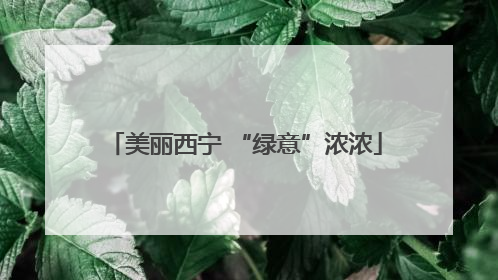 美丽西宁 “绿意”浓浓