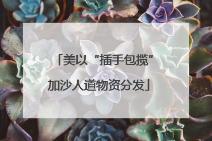 美以“插手包揽”加沙人道物资分发