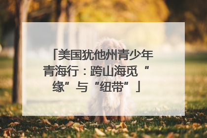 美国犹他州青少年青海行：跨山海觅“缘”与“纽带”