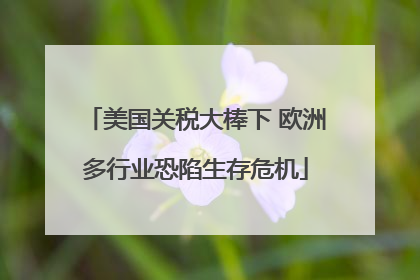 美国关税大棒下 欧洲多行业恐陷生存危机