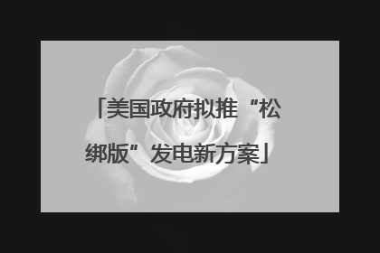 美国政府拟推“松绑版”发电新方案