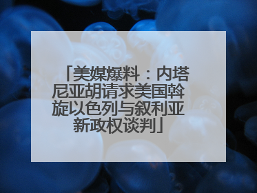 美媒爆料：内塔尼亚胡请求美国斡旋以色列与叙利亚新政权谈判