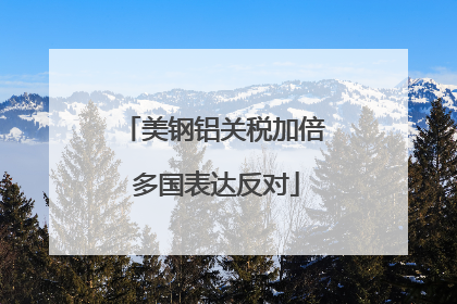 美钢铝关税加倍 多国表达反对