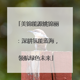 美锦能源姚锦丽：深耕氢能蓝海，领航绿色未来