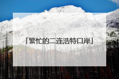 繁忙的二连浩特口岸