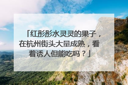 红彤彤水灵灵的果子，在杭州街头大量成熟，看着诱人但能吃吗？