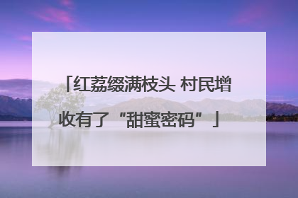 红荔缀满枝头 村民增收有了“甜蜜密码”