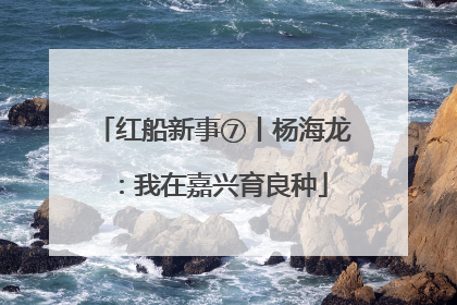 红船新事⑦丨杨海龙：我在嘉兴育良种