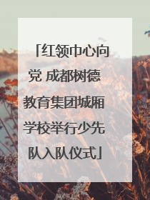 红领巾心向党 成都树德教育集团城厢学校举行少先队入队仪式