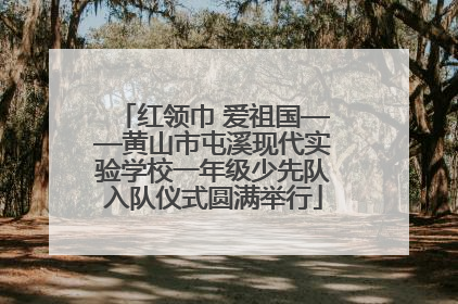 红领巾 爱祖国——黄山市屯溪现代实验学校一年级少先队入队仪式圆满举行