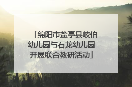 绵阳市盐亭县岐伯幼儿园与石龙幼儿园开展联合教研活动