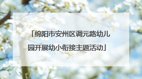 绵阳市安州区调元路幼儿园开展幼小衔接主题活动