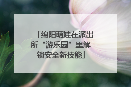 绵阳萌娃在派出所“游乐园”里解锁安全新技能