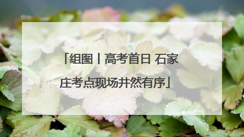 组图丨高考首日 石家庄考点现场井然有序