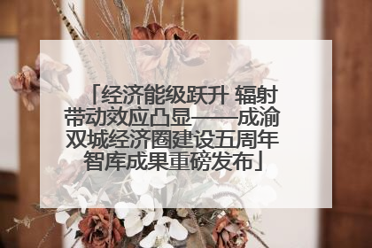 经济能级跃升 辐射带动效应凸显——成渝双城经济圈建设五周年智库成果重磅发布