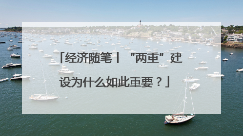 经济随笔丨“两重”建设为什么如此重要？