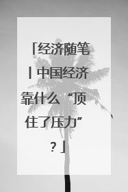 经济随笔丨中国经济靠什么“顶住了压力”？