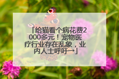 给猫看个病花费2000多元！宠物医疗行业存在乱象，业内人士呼吁→