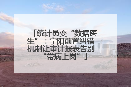 统计员变“数据医生”：宁阳前置纠错机制让审计报表告别“带病上岗”