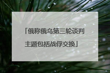 俄称俄乌第三轮谈判主题包括战俘交换
