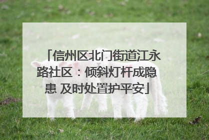 信州区北门街道江永路社区：倾斜灯杆成隐患 及时处置护平安