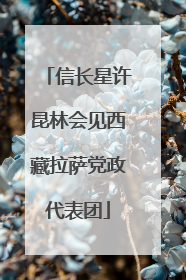 信长星许昆林会见西藏拉萨党政代表团